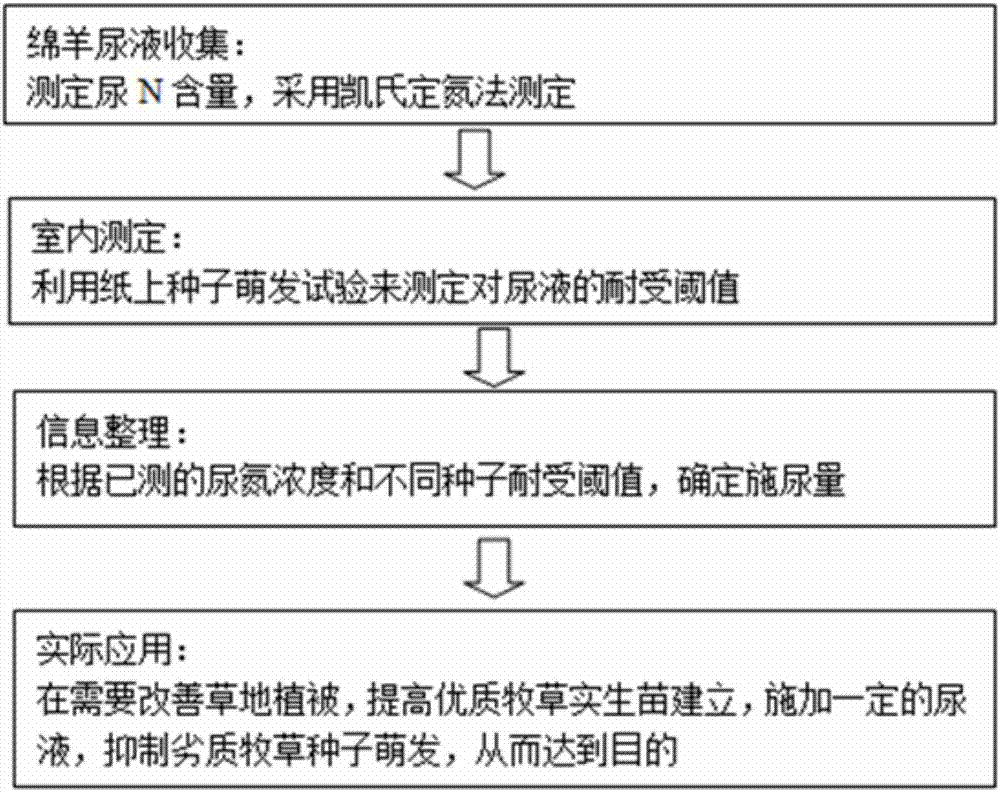 im体育app
