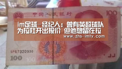 im体育投注